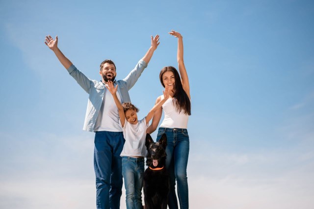 Home Security In The United States