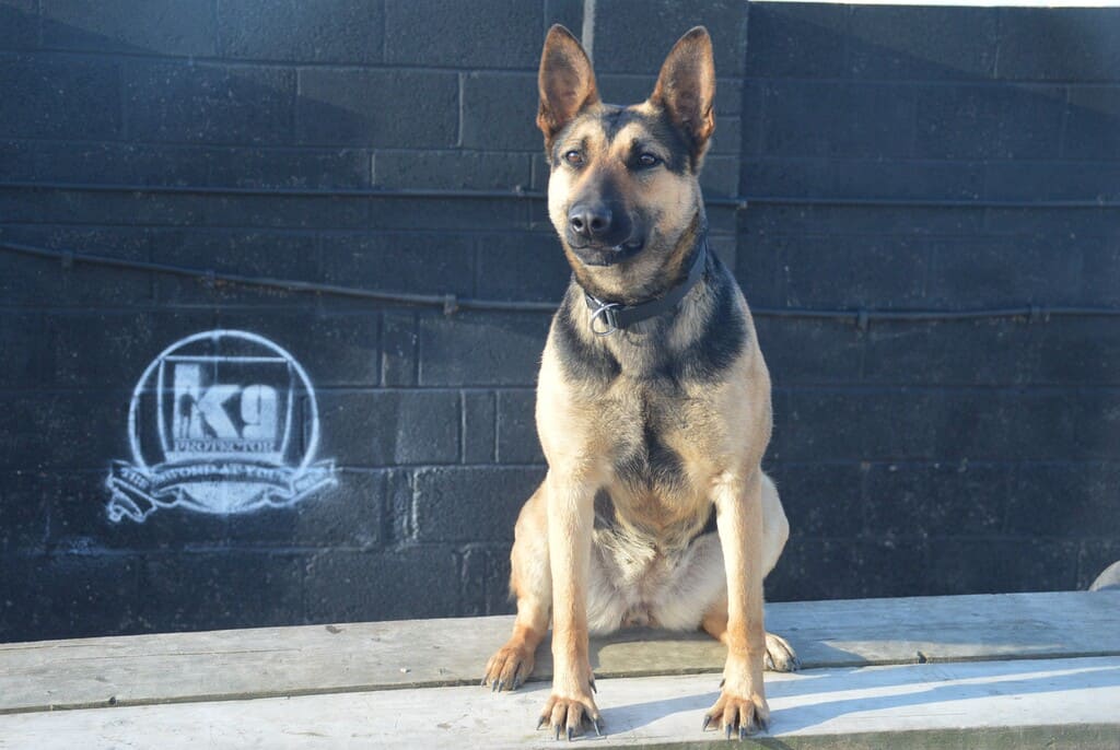 Protect on command