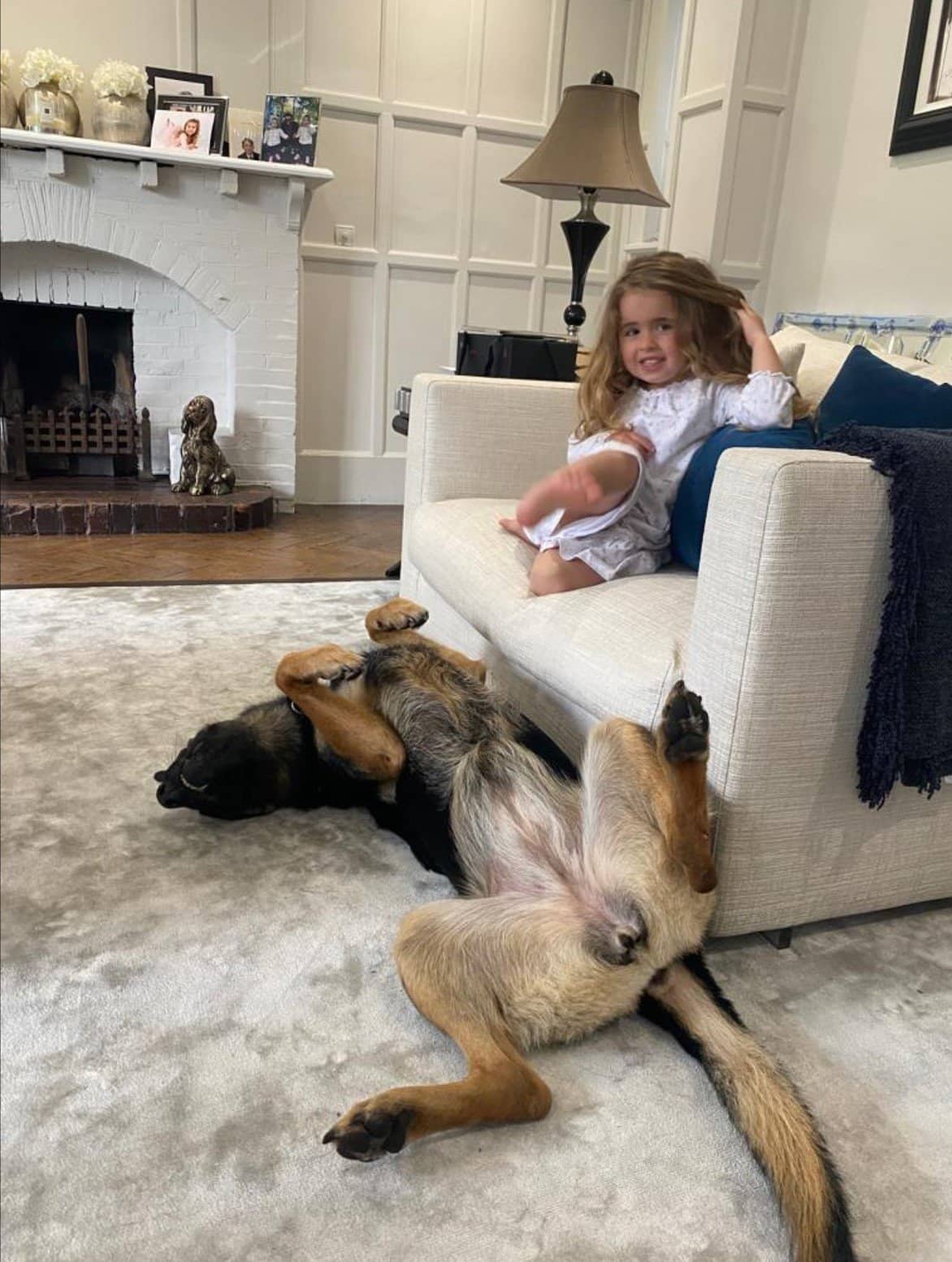 Protection dogs for families with children