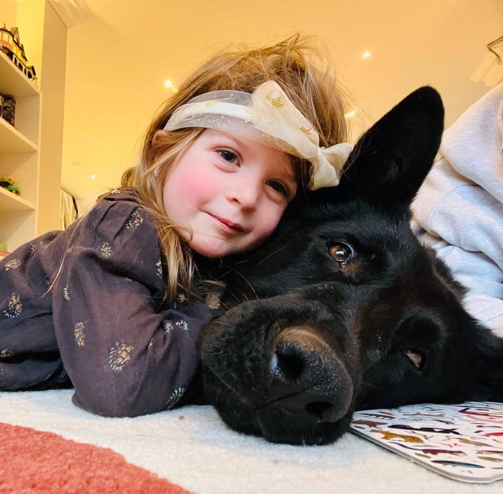 protection dogs with children